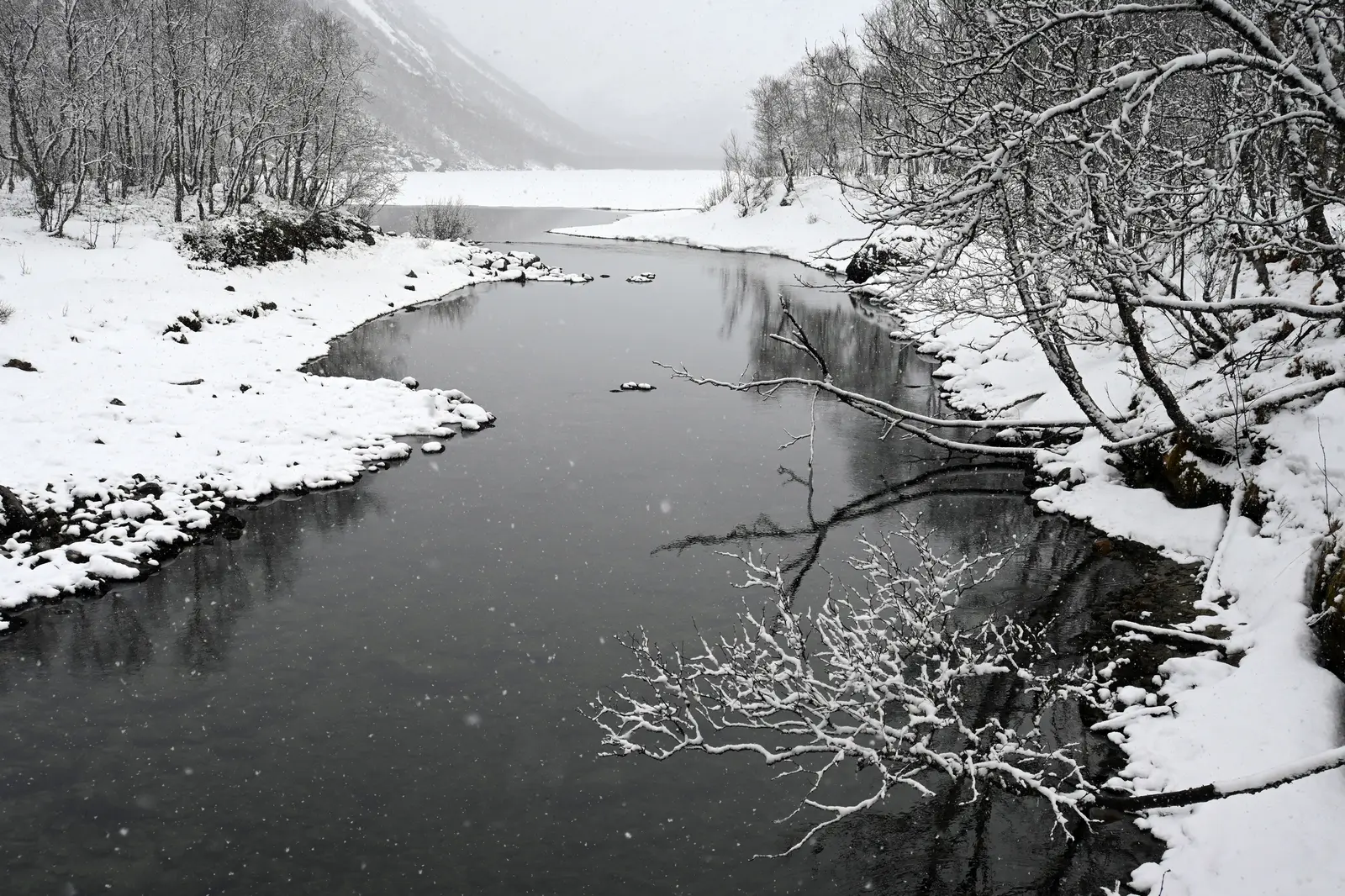 Sommer · Skamdalselva